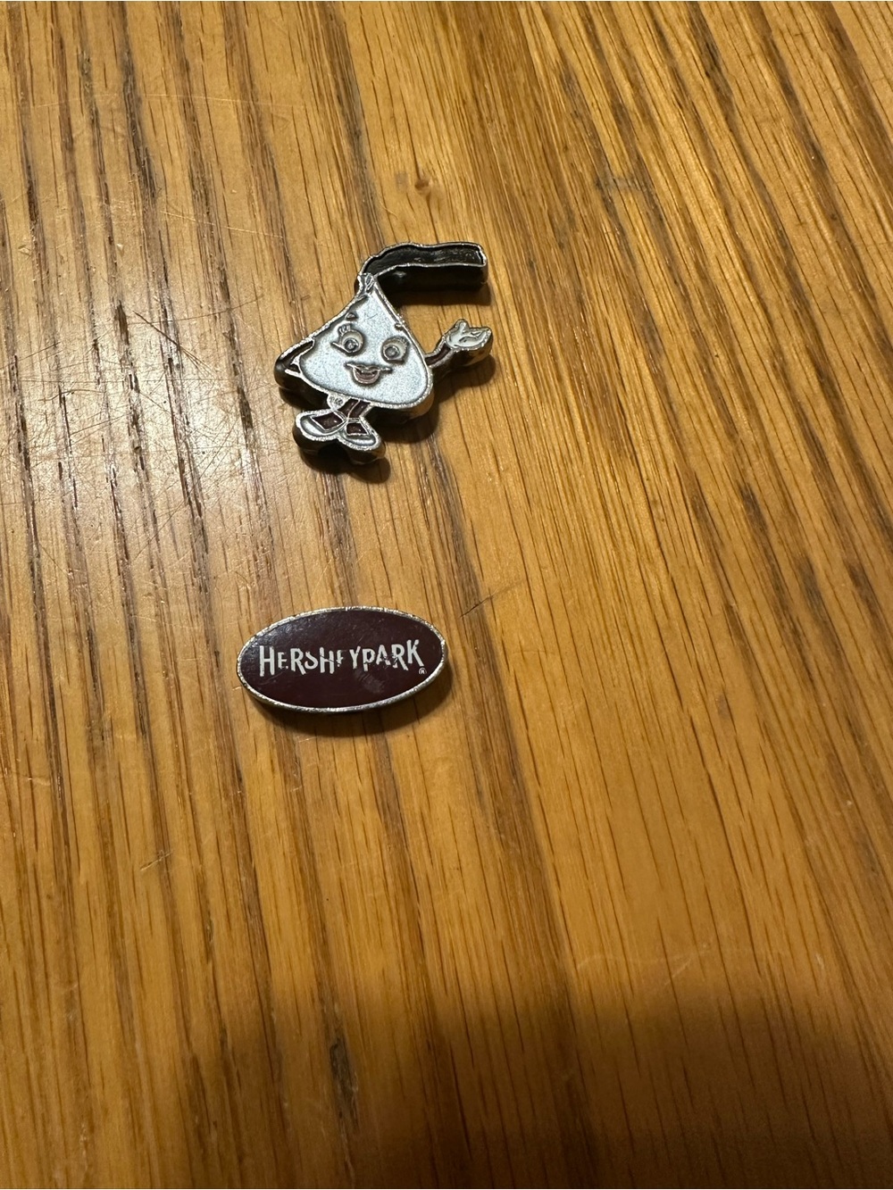 Hershey park charms